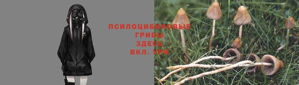 кокаин колумбия Инсар