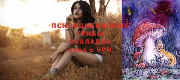 молекула духа Иннополис