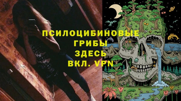 кокаин колумбия Инсар