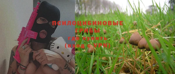 молекула духа Иннополис