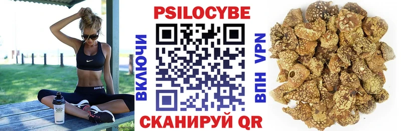 Псилоцибиновые грибы Cubensis  Купить где  Одинцово